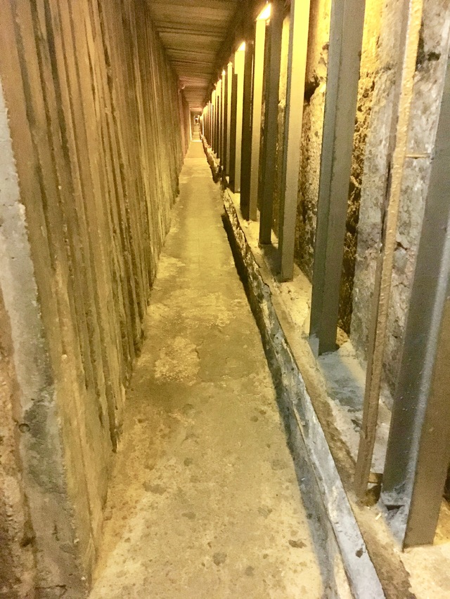 Israel Tour, October 2018