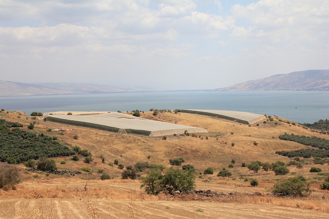 Galilee near Cana